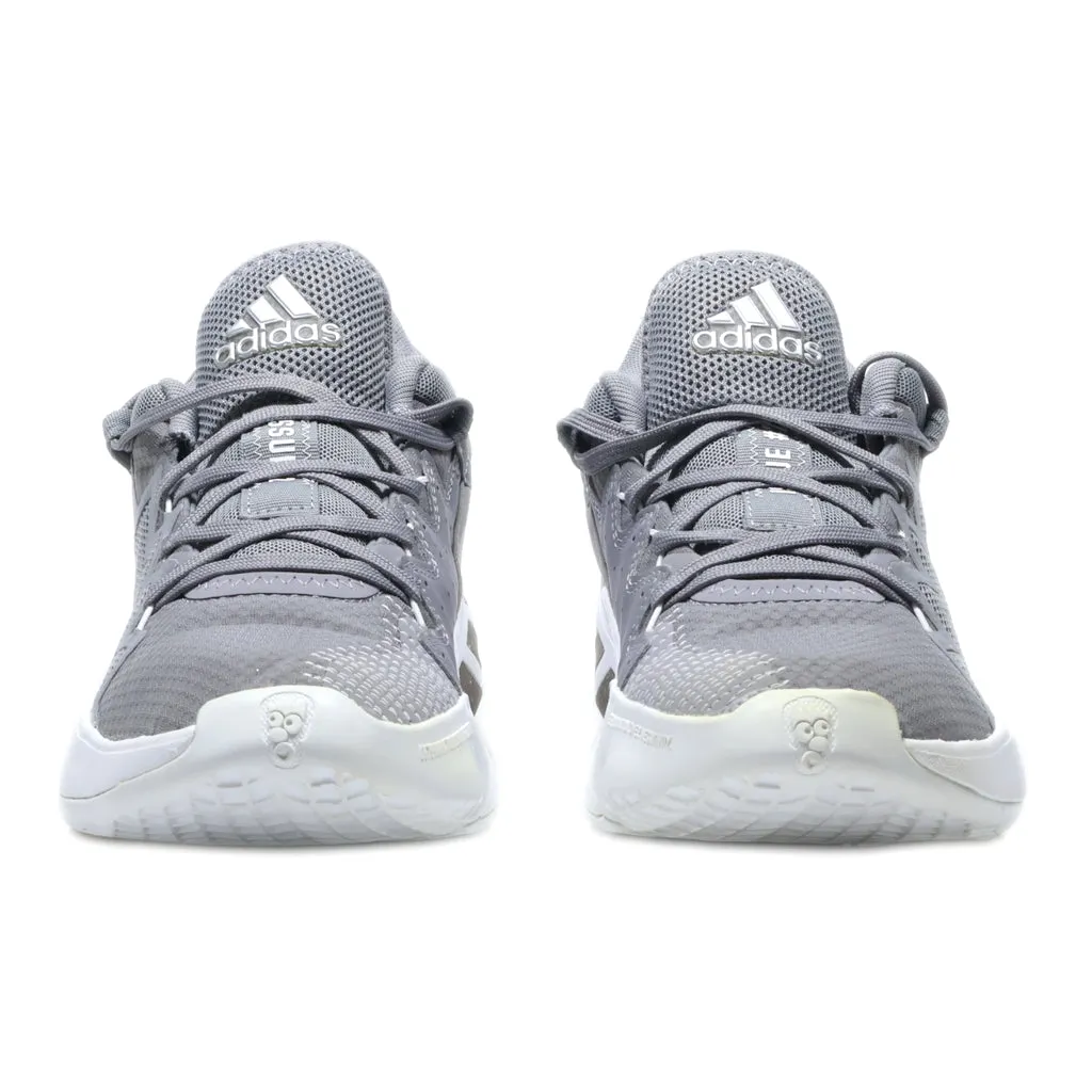 Adidas D.O.N. Issue #2 Sport Shoes Fabric Grey Colour For Men