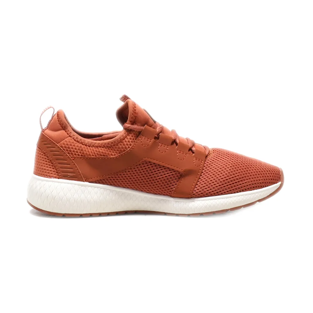 Bench. Sport Shoes Fabric Brown Colour For Women