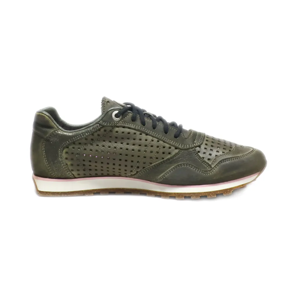 Cetti Low-Top Sneakers Leather Green Colour For Women