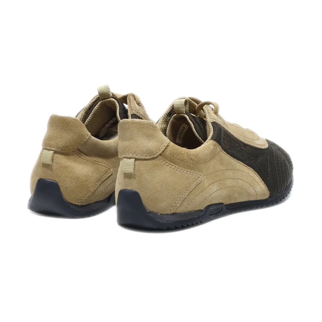 Esprit Sport Shoes Canvas Brown Colour For Women