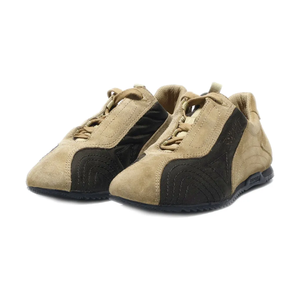 Esprit Sport Shoes Canvas Brown Colour For Women