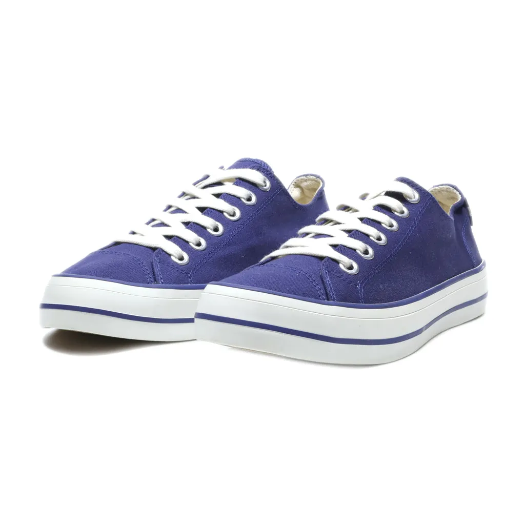 Gap Low-Top Sneakers Canvas Blue Colour For Women