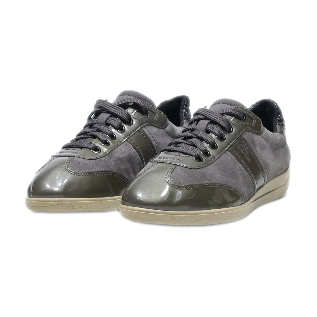 Geox Low-Top Sneakers Leather Grey Colour For Women