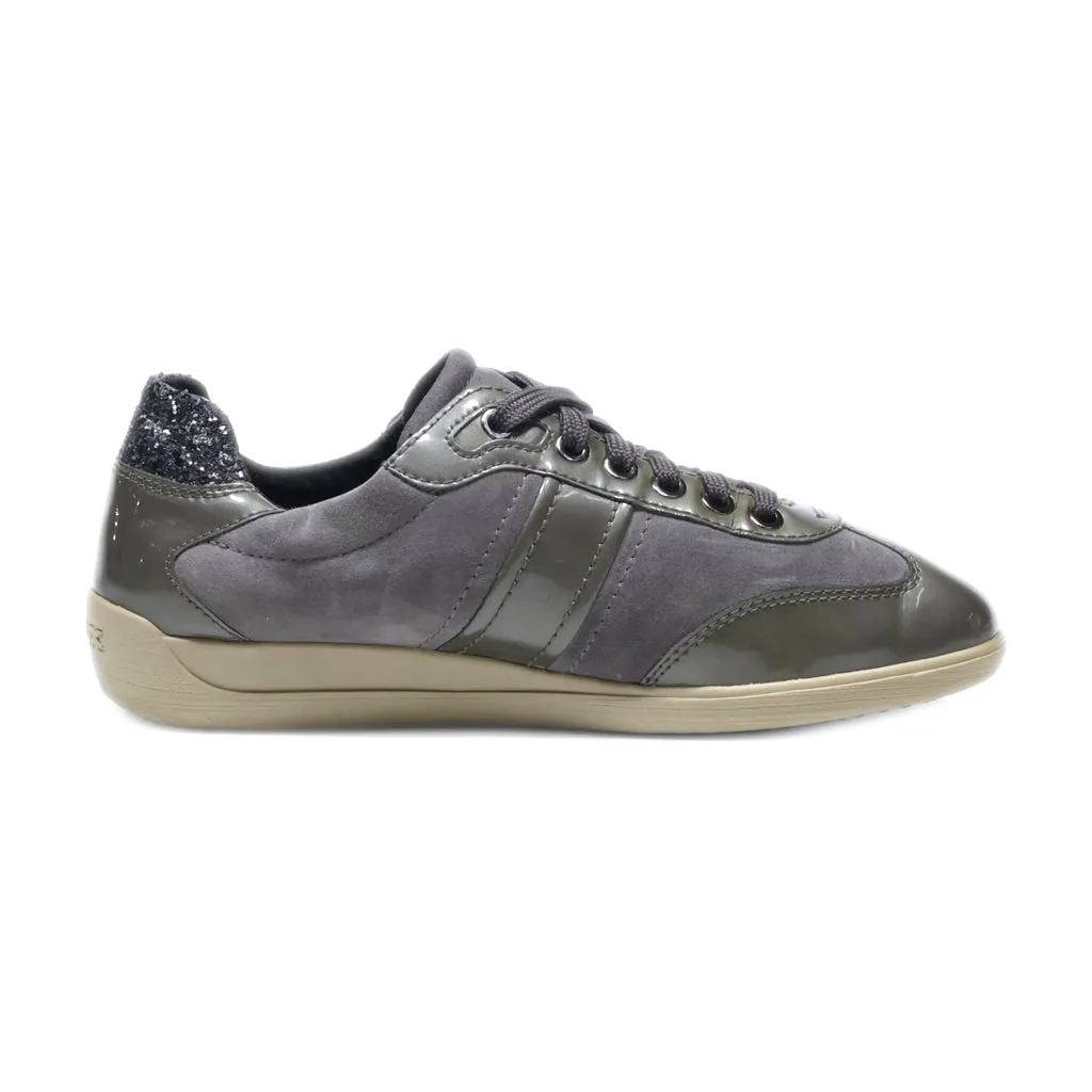 Geox Low-Top Sneakers Leather Grey Colour For Women