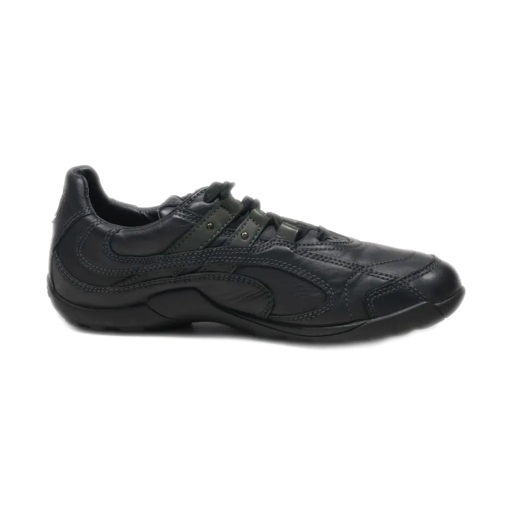 Geox Respira Sport Shoes Leather Black Colour For Men