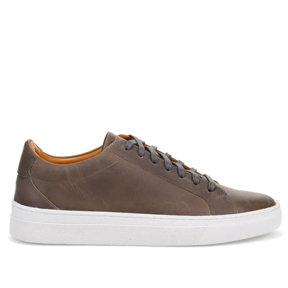 Troon Leather Trainers  - TROON / 326 324